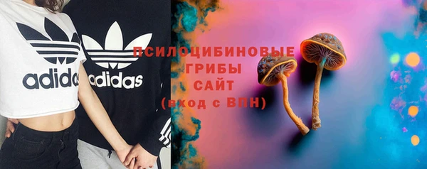 шишки Балабаново