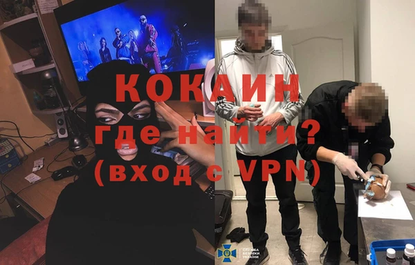 шишки Балабаново