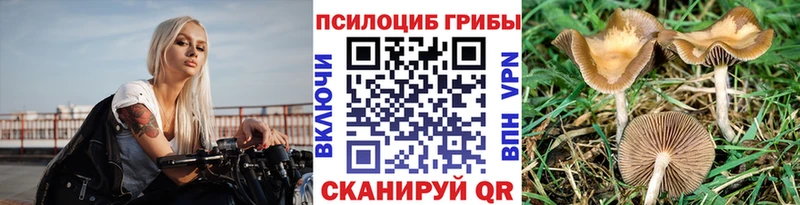 darknet Telegram  Демидов  Галлюциногенные грибы Cubensis 